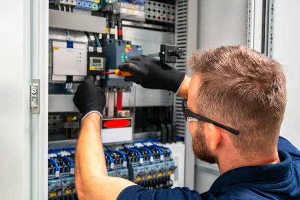 Best Affordable Electrician  in Brown City, MI