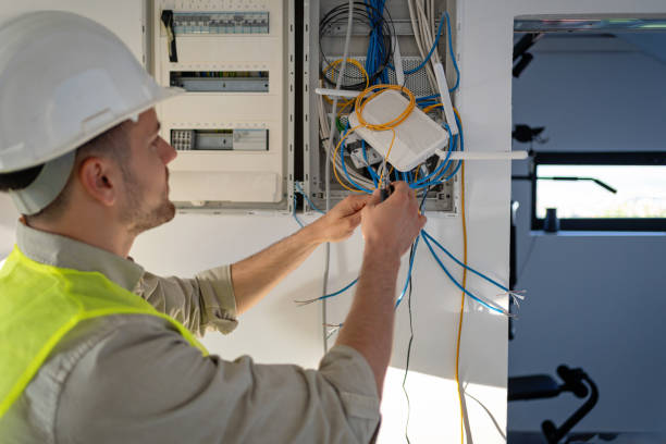 Best 24-Hour Electrician  in Brown City, MI